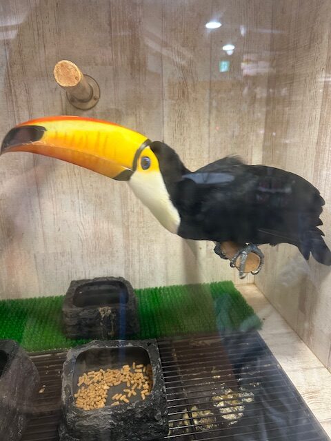 アニマルカフェ　フレカ