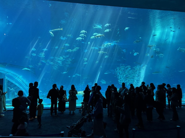 美ら海水族館